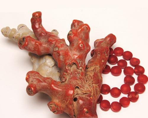 Coveted Coral: A History of the Use of Coral in Jewelry – Someday