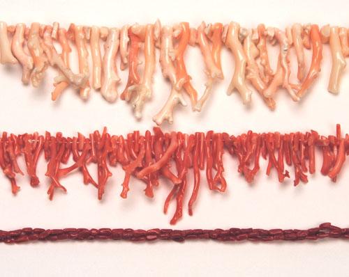 Brilliant Cut Red Coral Rough for Jewelry 