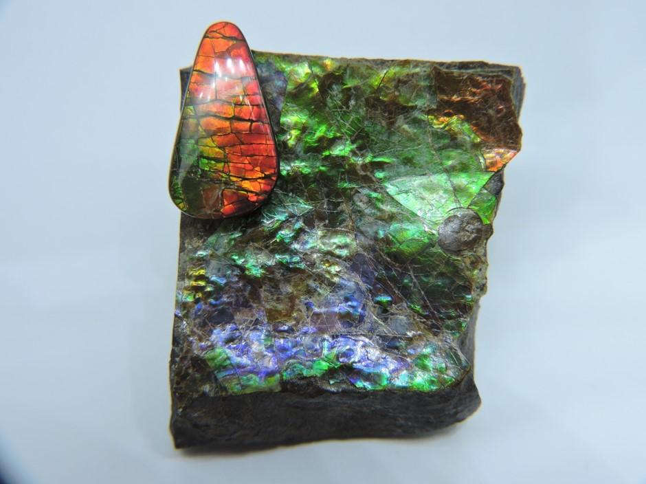 Ammolite Rough and Polished Fossils as decorative objects Gem A Blog