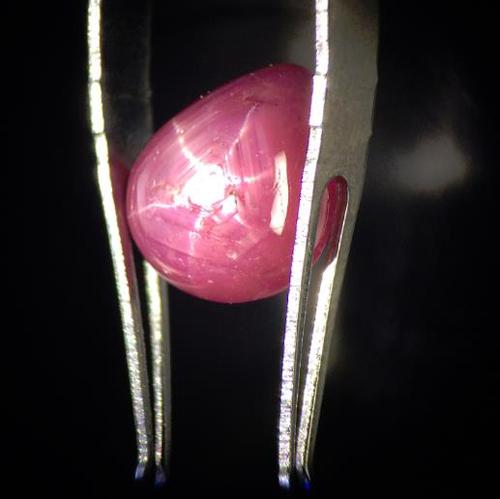 Lead-glass filled star ruby. Image courtesy of Julia Griffith.
