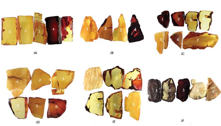 An Update on Identification Features of Treated Baltic Amber - - Treated Amber