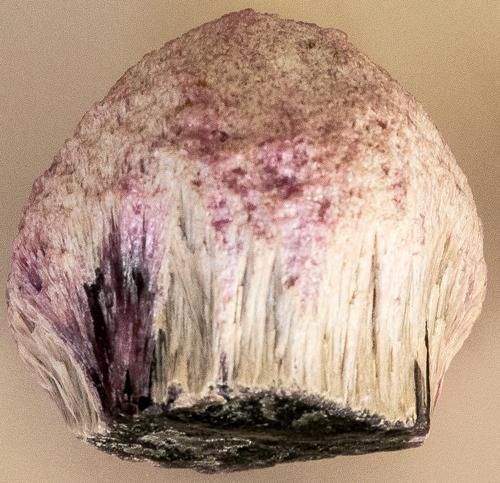 Mushroom tourmaline specimen. Image courtesy of E. Passmore. Myanmar blog post