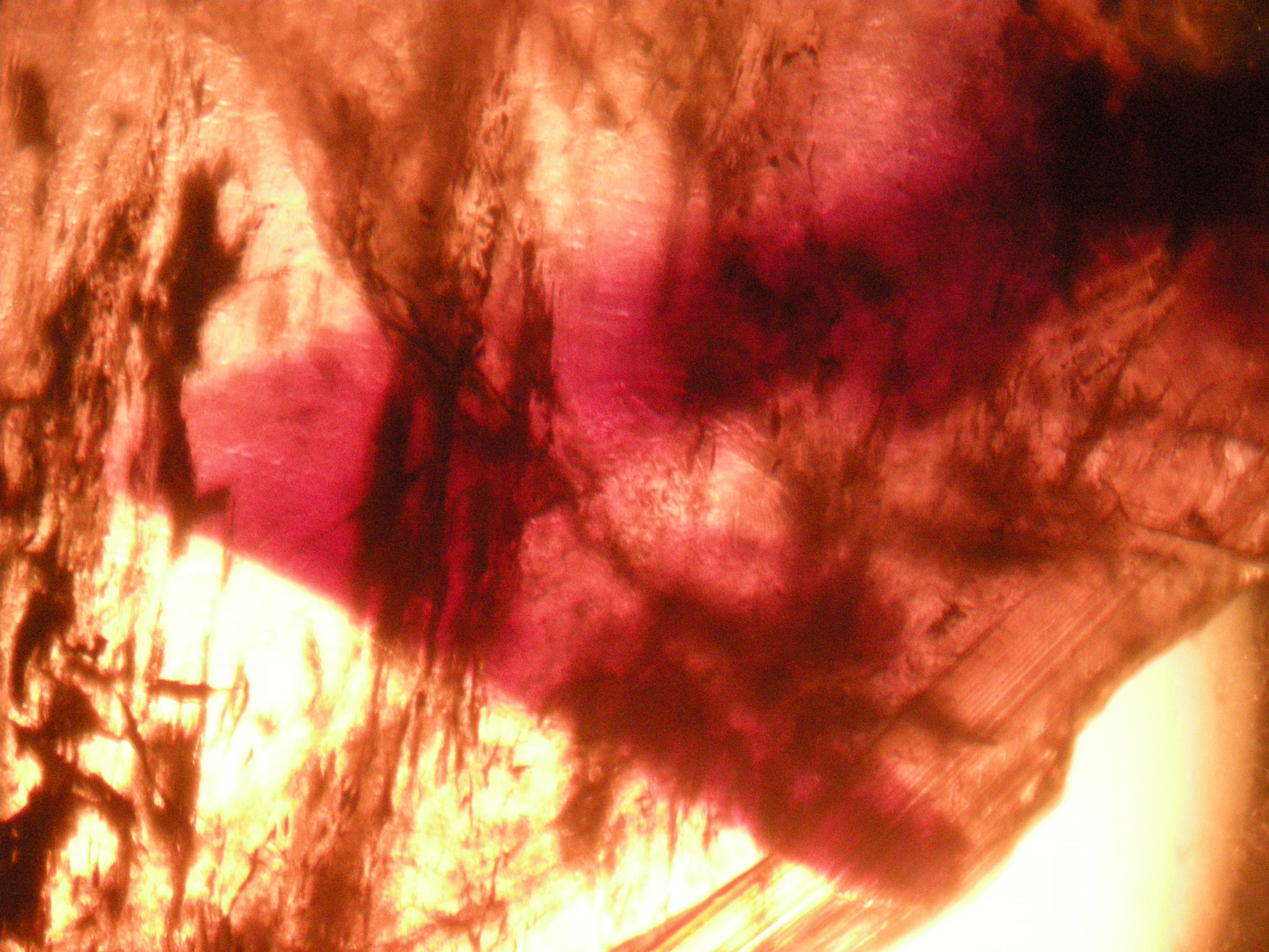 sample messages dating sites