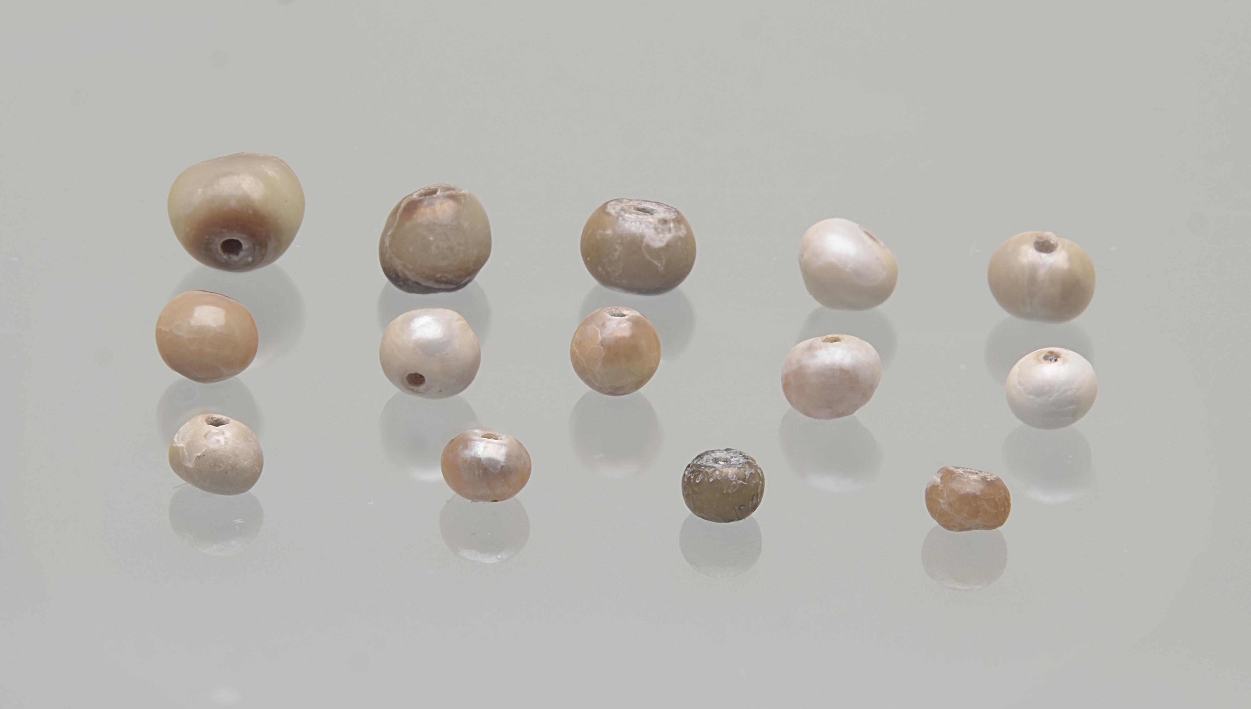 Natural freshwater pearl 72.60 ct/10Pcs Loose Gemstone Lot 