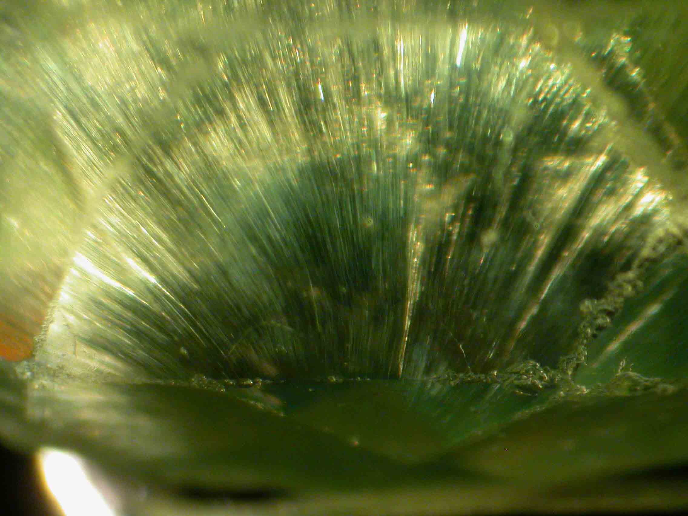 Top 5 Most Recognizable Gemstone Inclusions: A Tempting Guide For Gemmologists