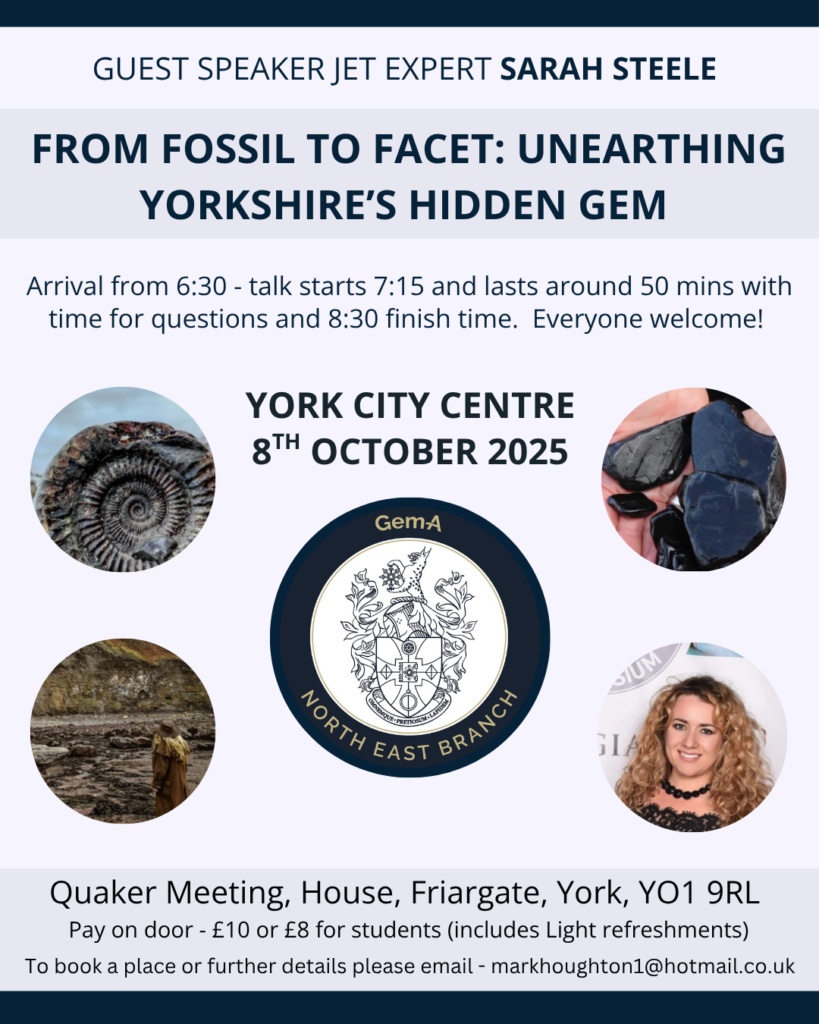 From Fossil to Facet: event with Sarah Steele as main speaker.