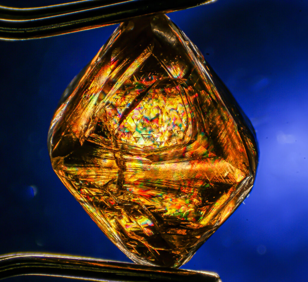 Photographer Of The Year Competition - Photographer Of The Year Competition - Randy Lightfoot